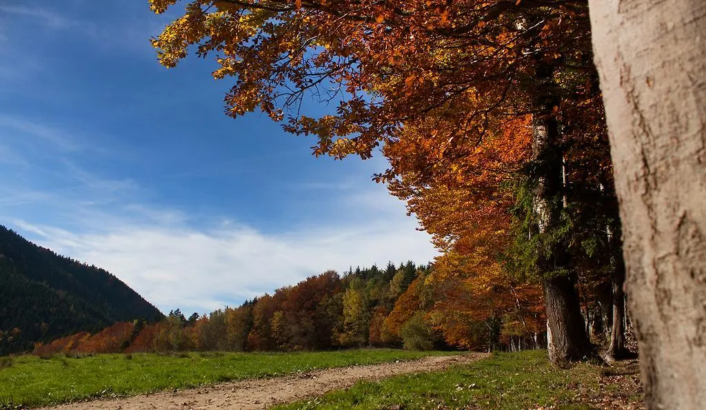 Gasthof Fischerstueberl Rottau Pensjonat